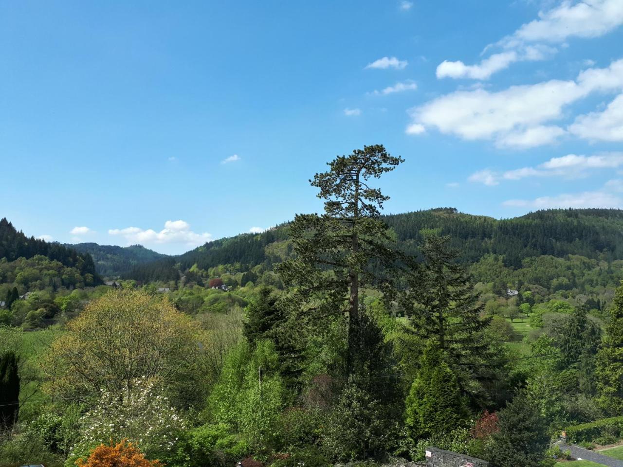 Aberconwy House B&B Betws-y-Coed Eksteriør bilde